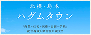 LINK